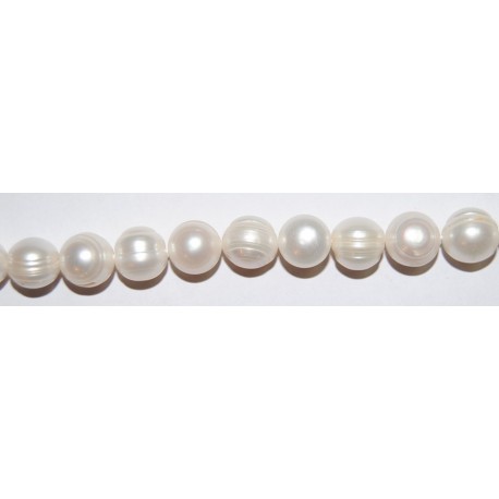 Perla patata 11-12 mm.
