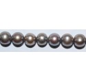 Perla Gris patata 10-11 mm(Alta calidad)