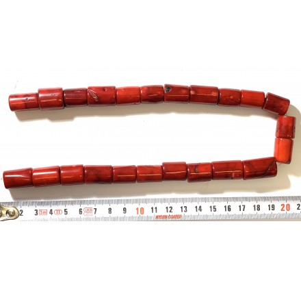 Coral Bambú tronco 20-23 mm