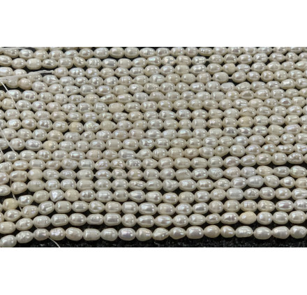 Perla Arroz 3-4 mm (Alta Calidad +)